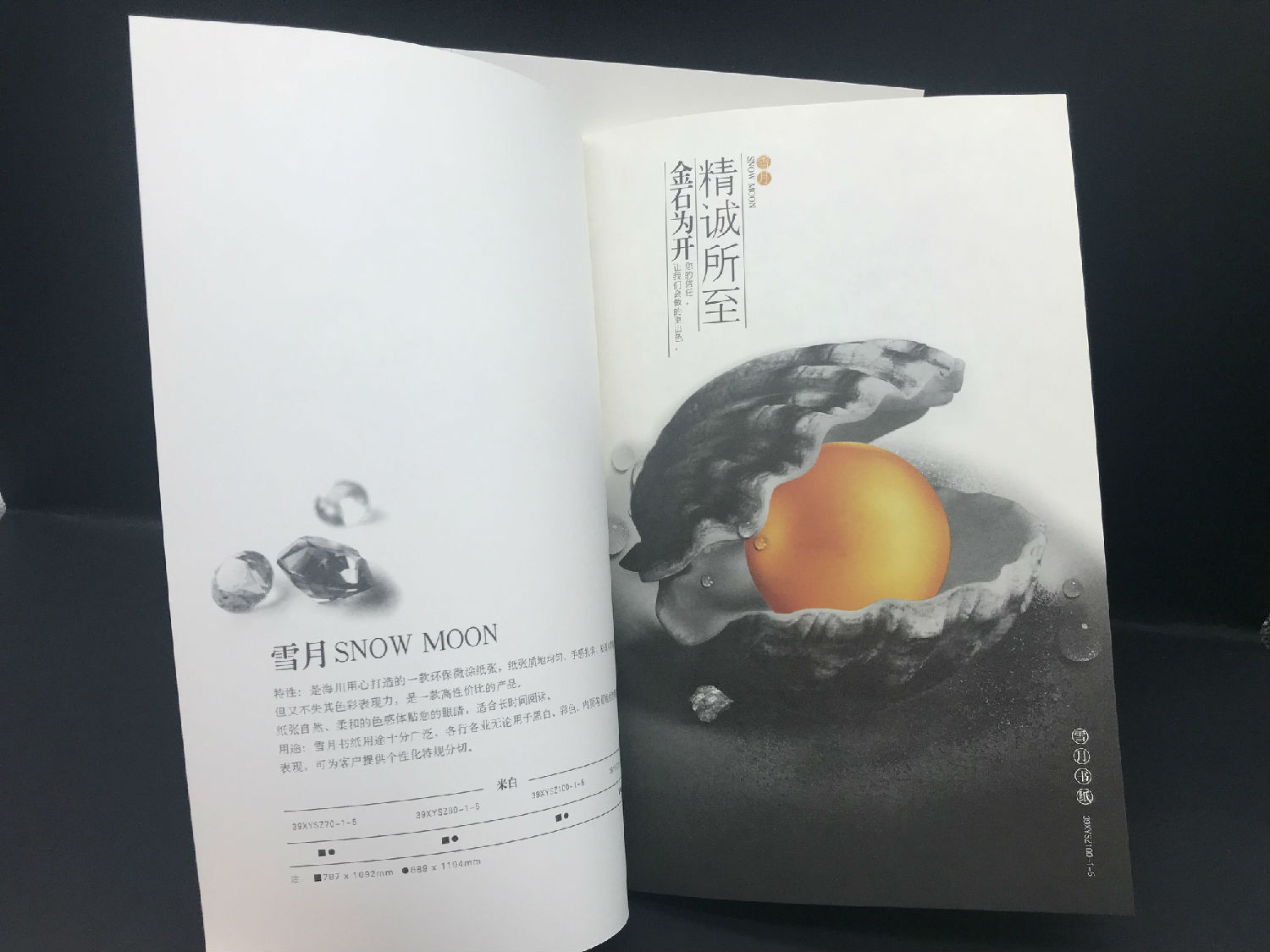 QQ图片20190302135052.jpg